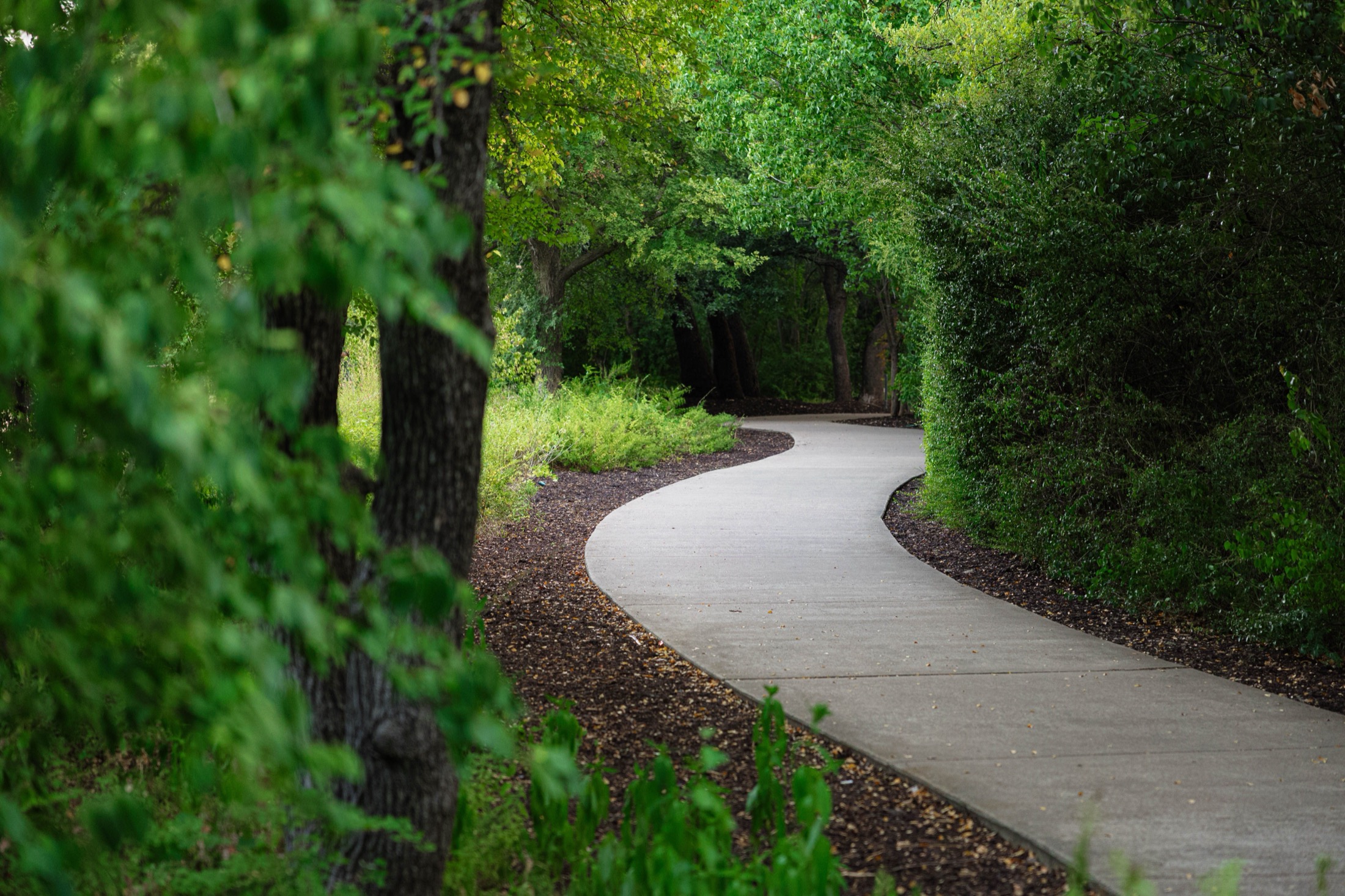 Walking Trails & Security