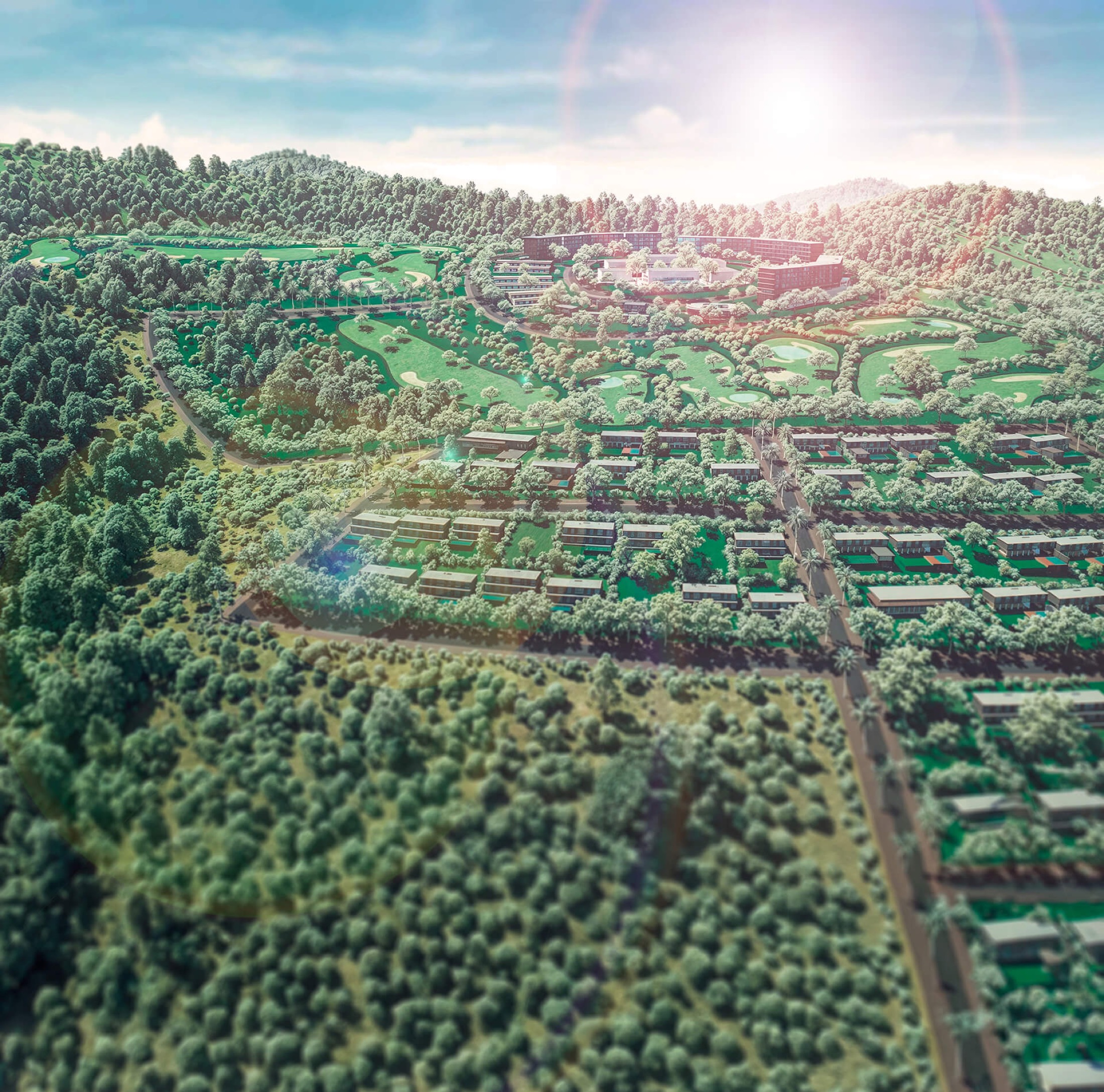 Forest Hill plots with panoramic views